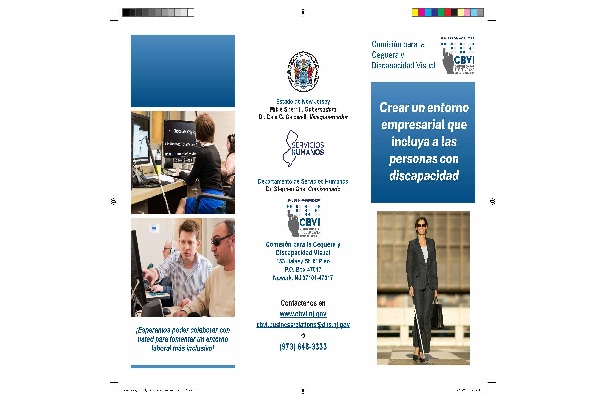 Creating a Disability Inclusive Business Environment brochure front page